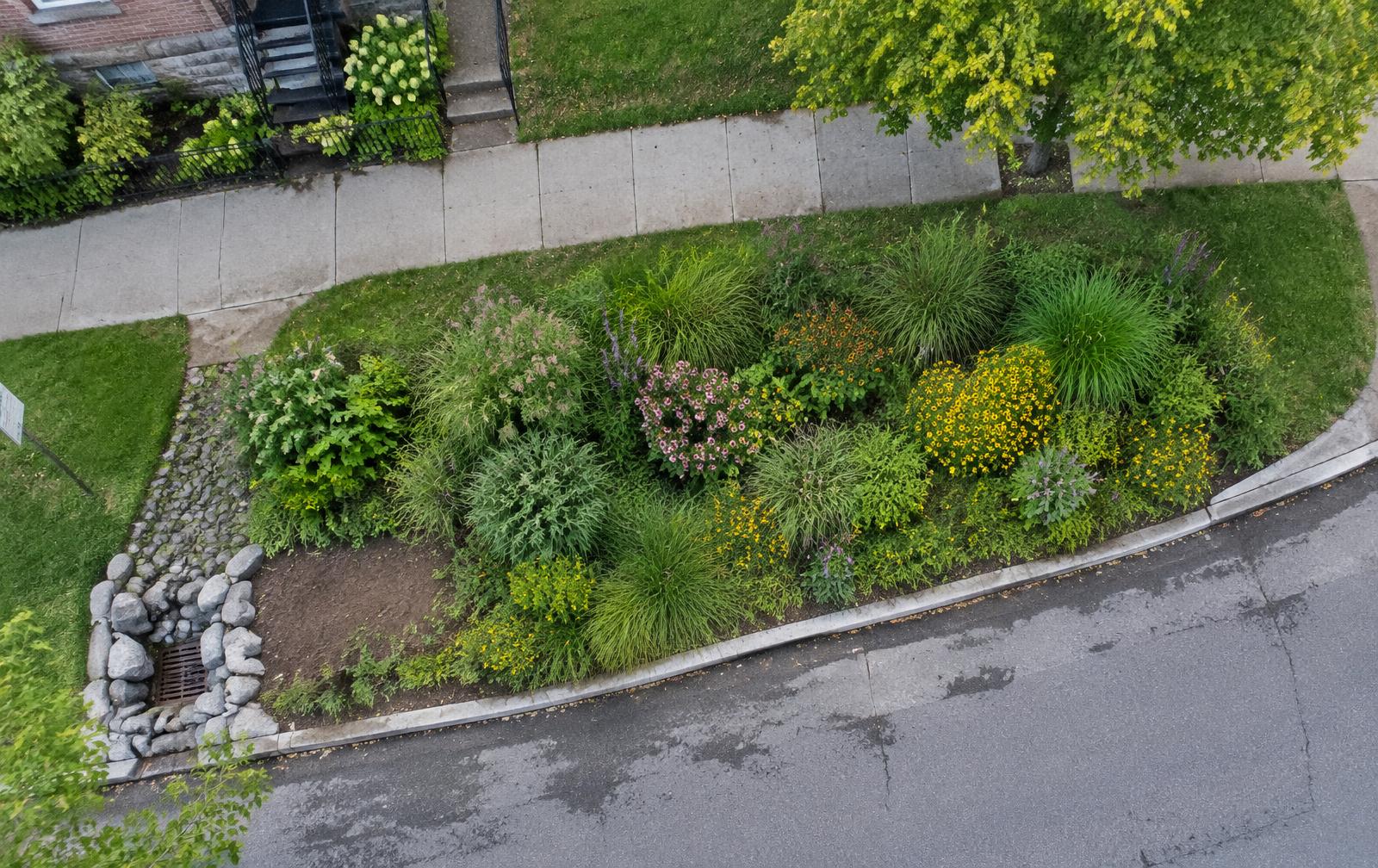 Aerial site view for Park Triangle Rain Garden